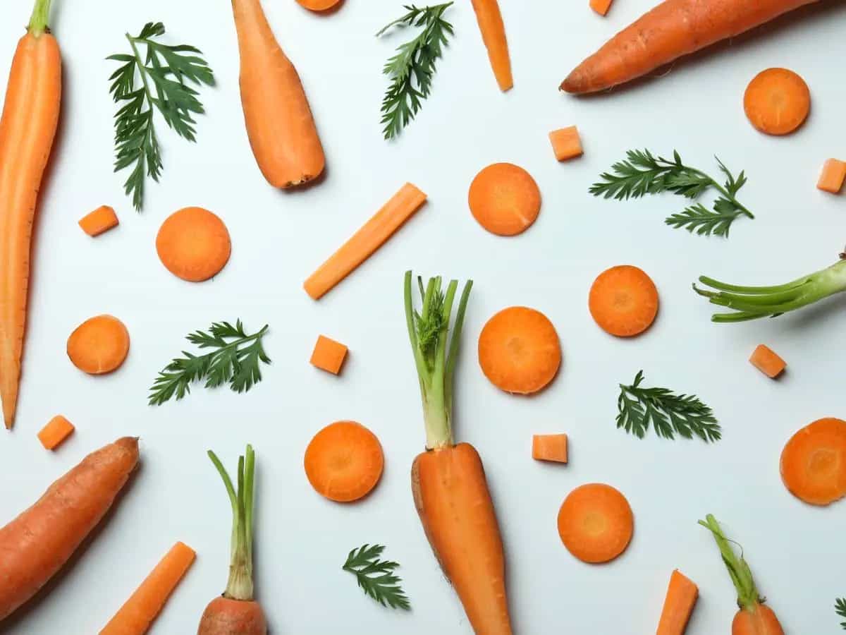 Olio di semi di carota: le proprietà cosmetiche