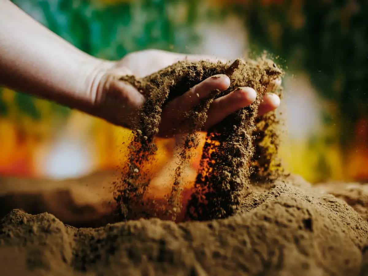 Terreno con meno potassio: un rischio per la sicurezza