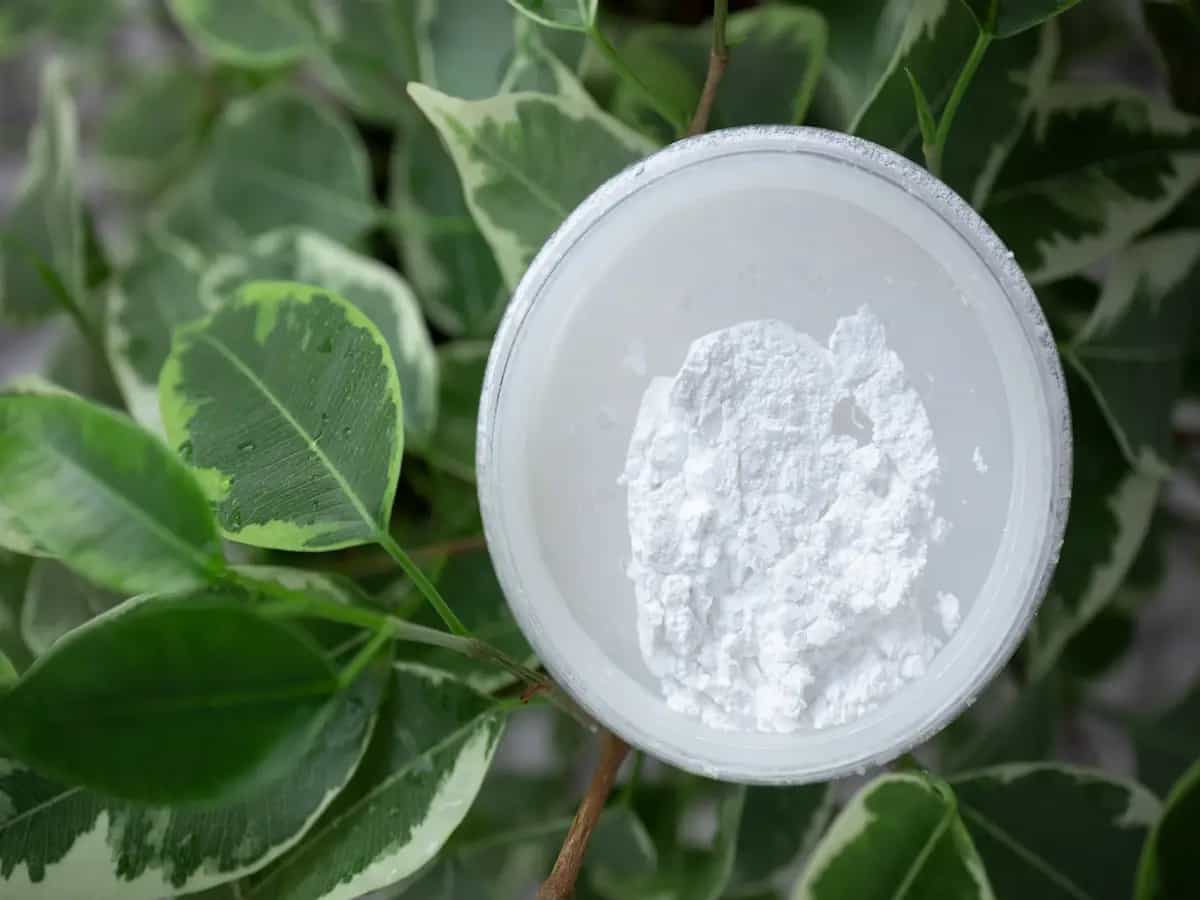 Zeolite in agricoltura: cos'è e come si usa