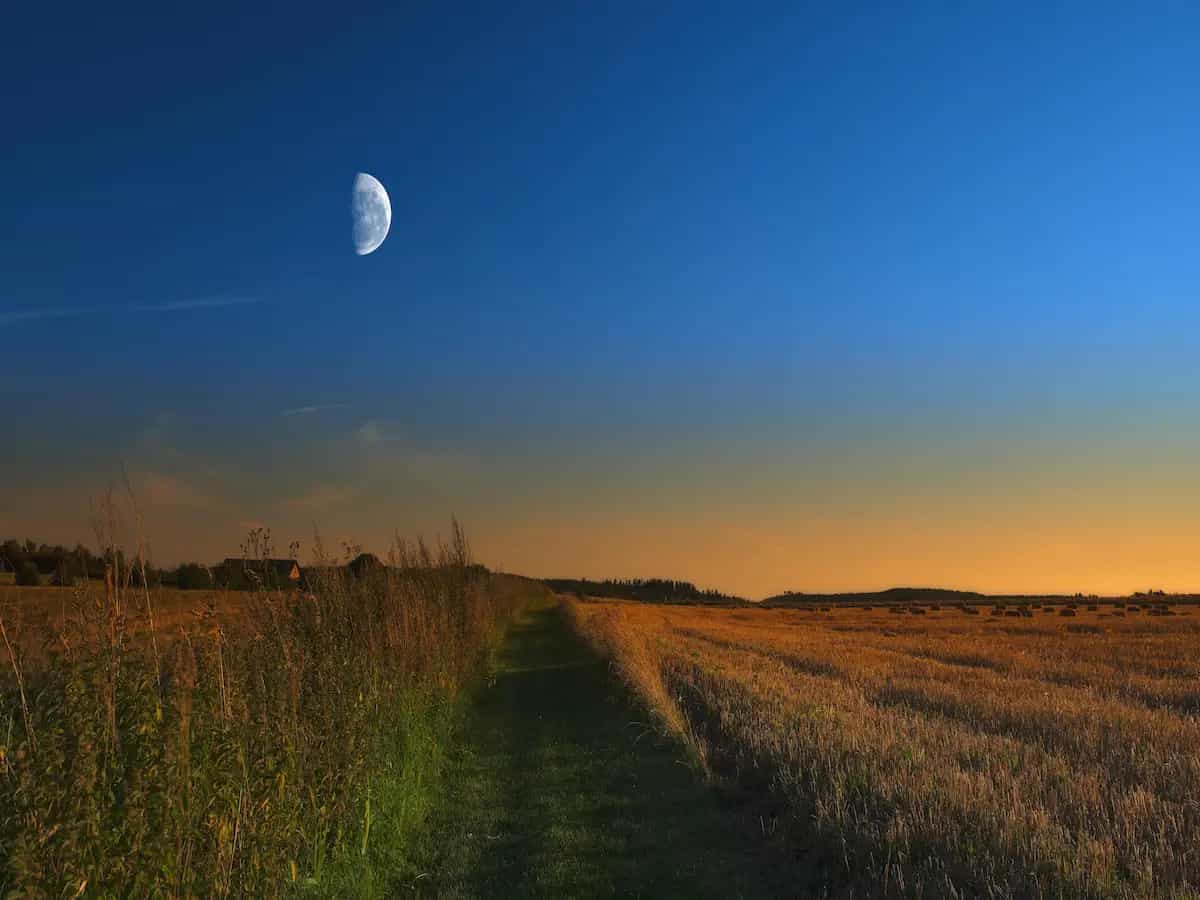 Seminare con la luna: una guida completa