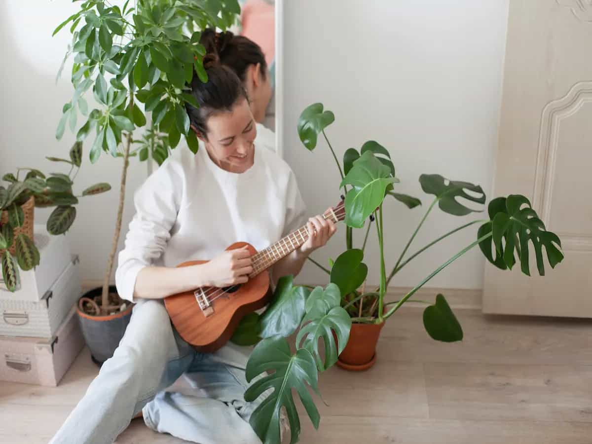 Quale musica far ascoltare alle piante per averle in salute