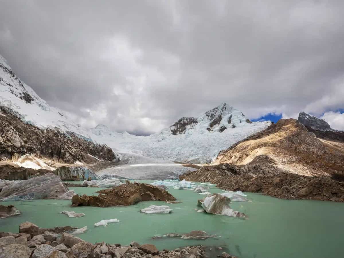 Antartide, il cambiamento climatico rende il paesaggio sempre più verde