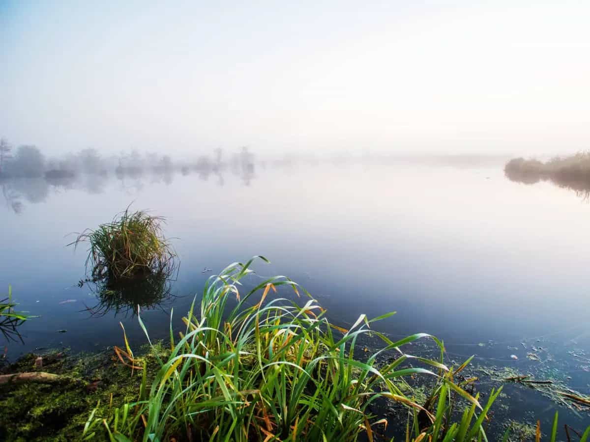 Laghi, le emissioni di metano rischiano di raddoppiare