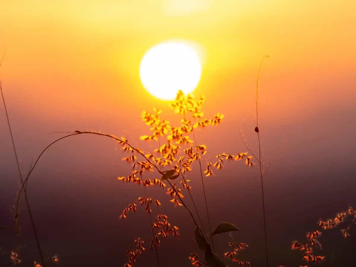 Le poesie più famose sul Sole