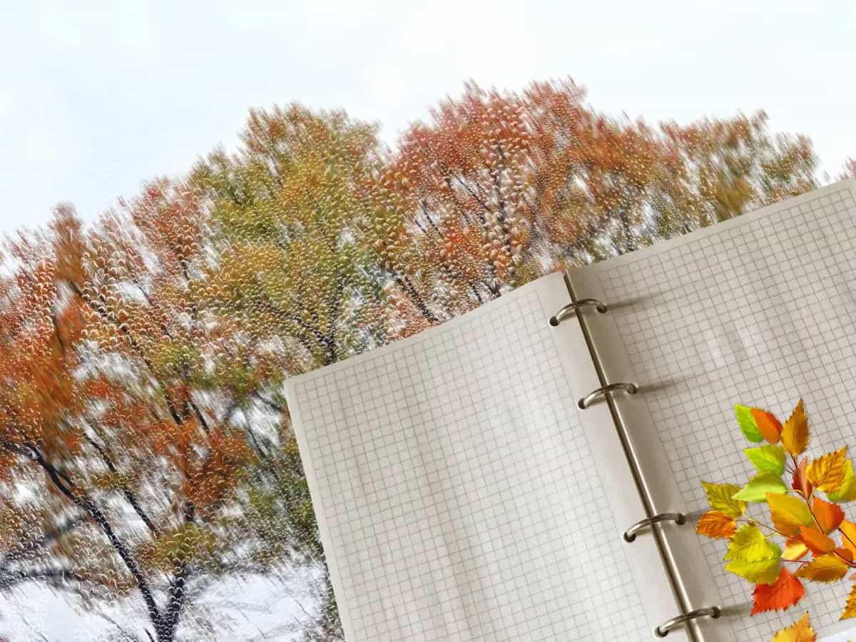 Le citazioni più belle sugli alberi