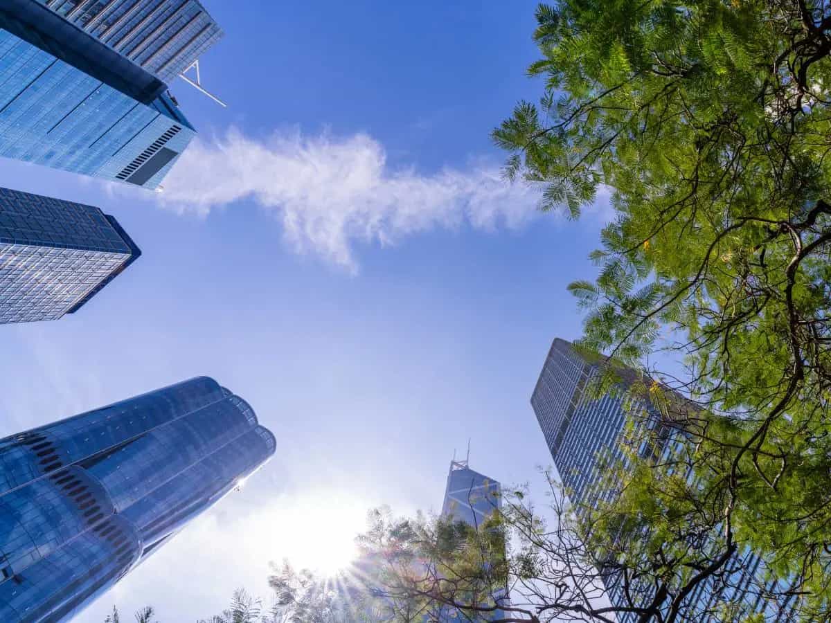 Isola di calore urbana, come depavimentazione e alberi rinfrescano le città
