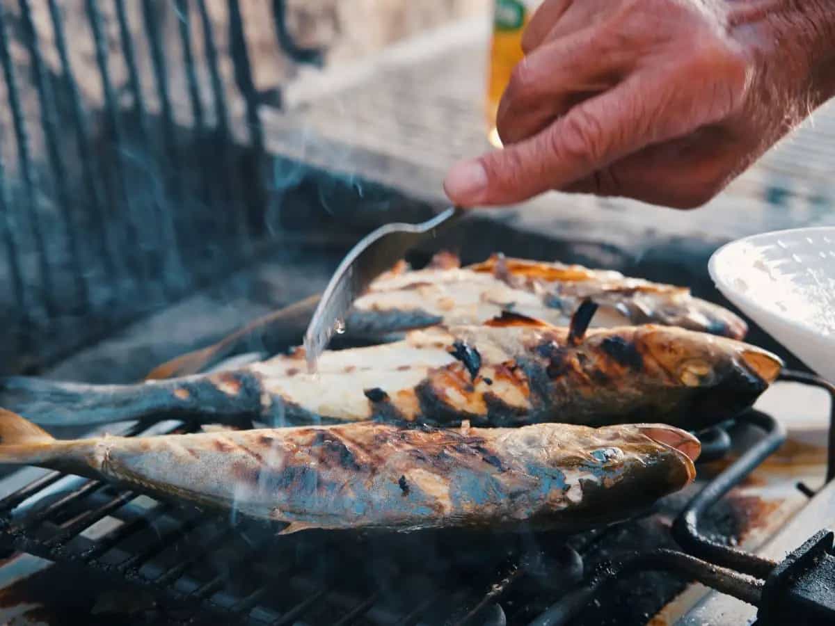 Grigliata di pesce dell’Adriatico, qual specie scegliere e come cucinarle