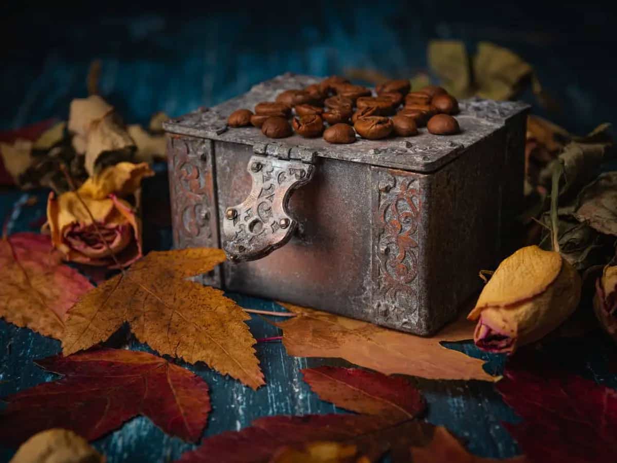 Le poesie più belle sulle castagne, versi di autunno e boschi