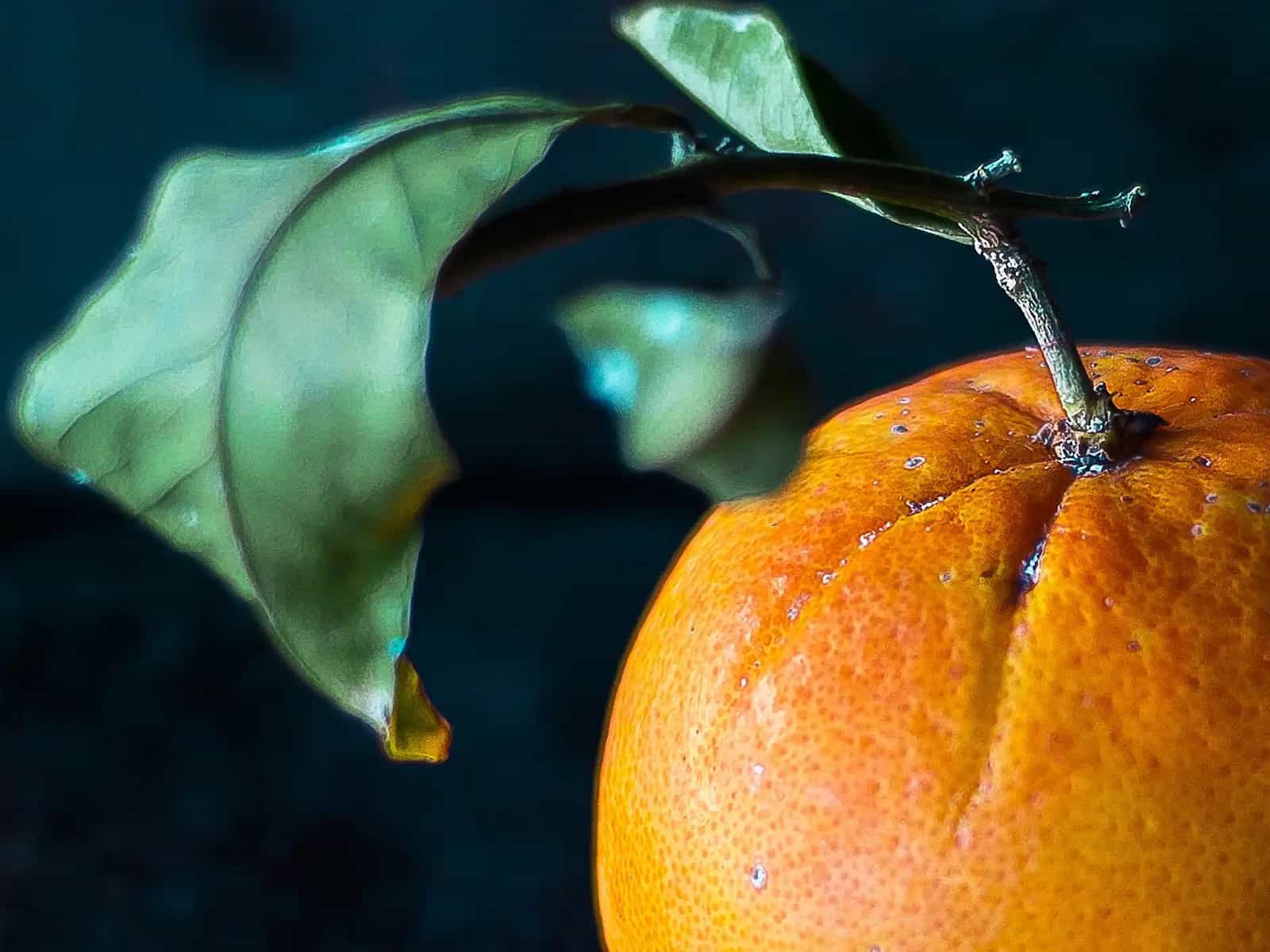 Ecco come 12.000 tonnellate di bucce d'arancia trasformano un paesaggio