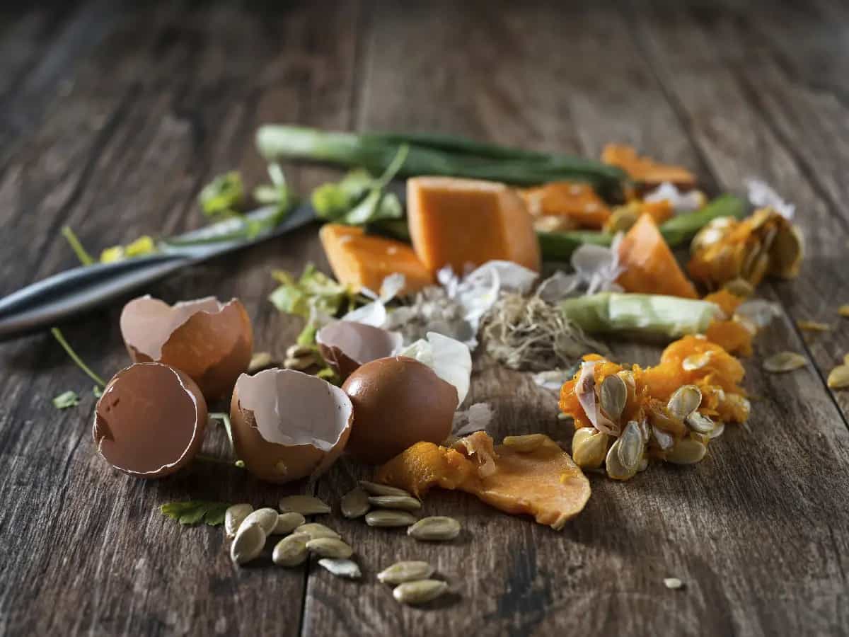 Mangiare sano sprecare