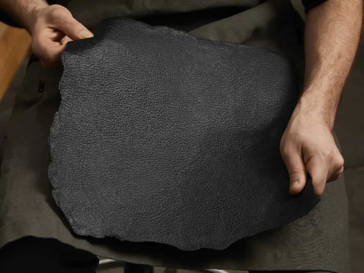 cuoio di funghi mani