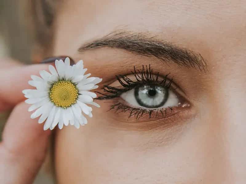 anima green cosmetici