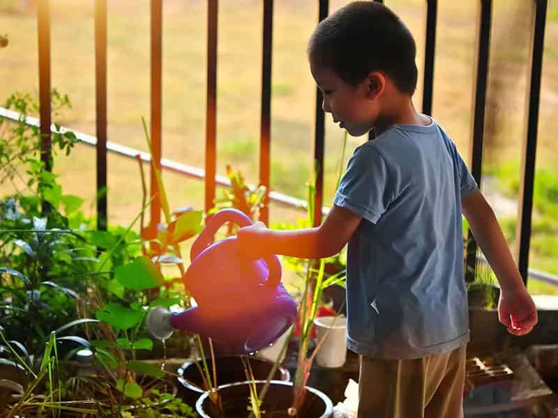 rischi piantare alberi deserto