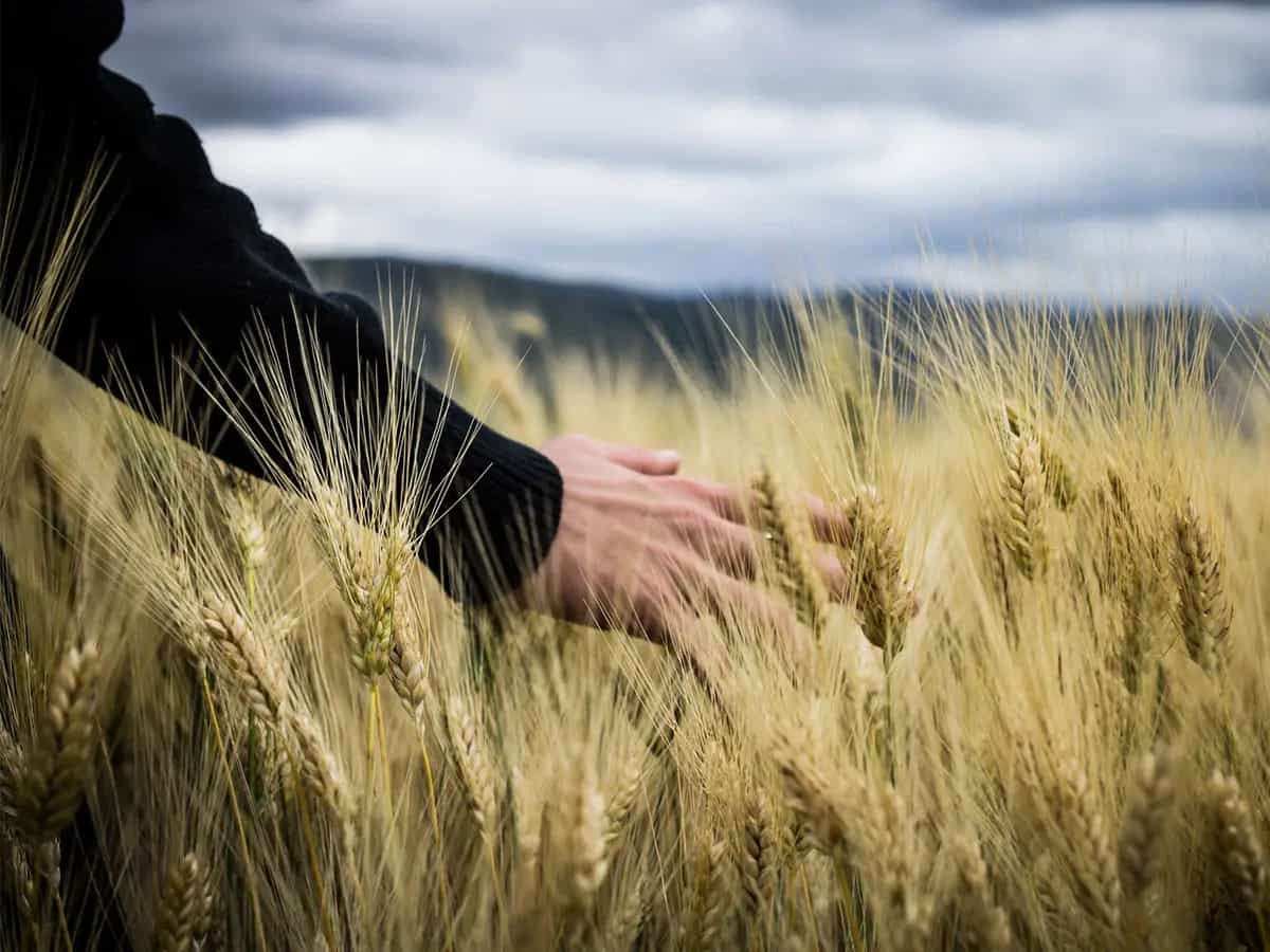 banca sostenere biologico ambiente