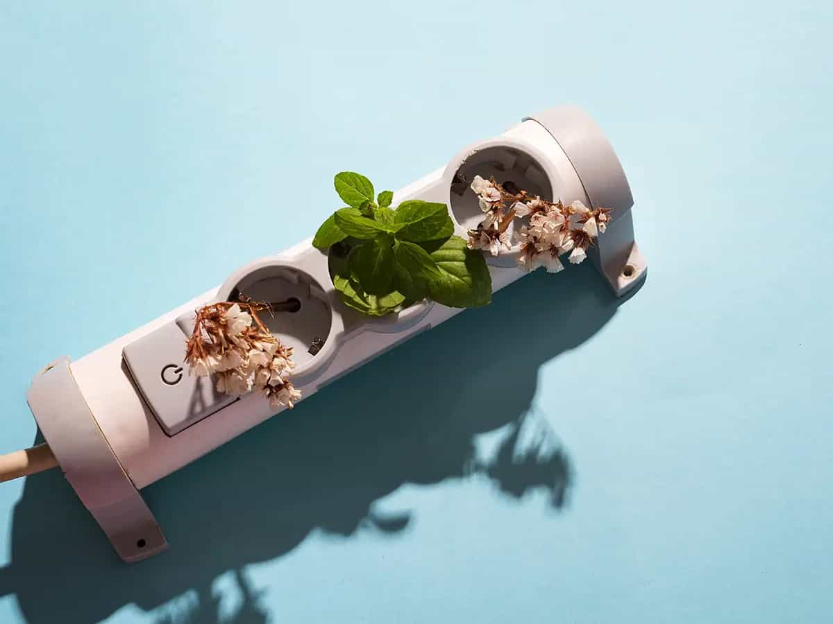 La giornata mondiale dell'ambiente 2020