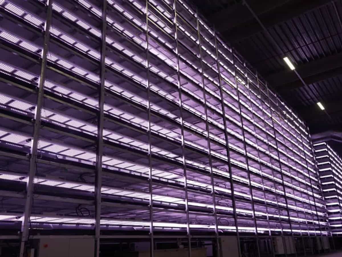 Fattorie verticali Danimarca