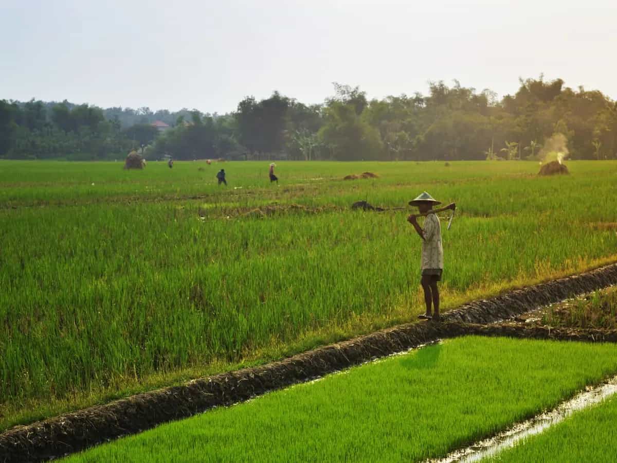 aumento temperature umidita