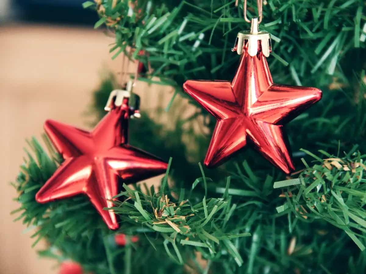 albero di natale vero