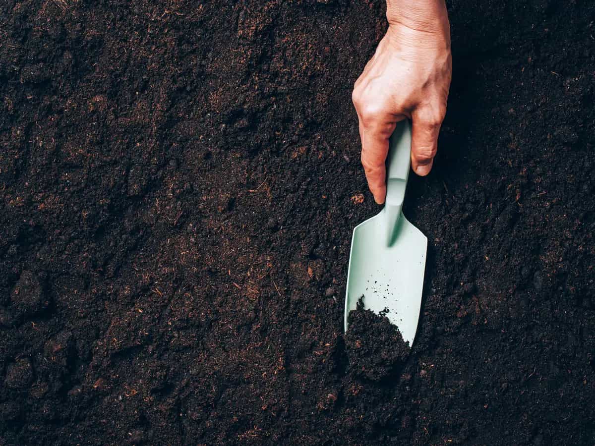 FAO suolo agricoltori
