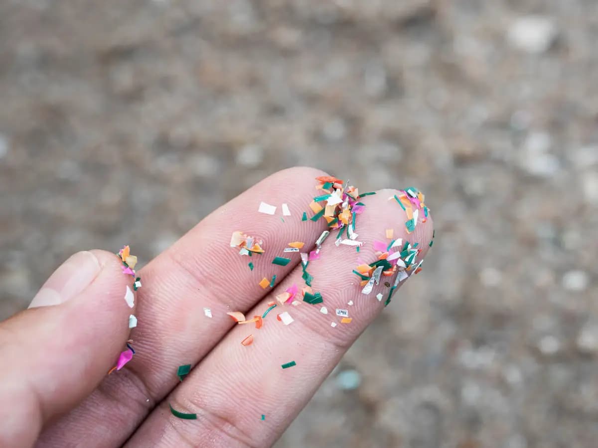 Le microplastiche nel suolo producono batteri resistenti agli antibiotici