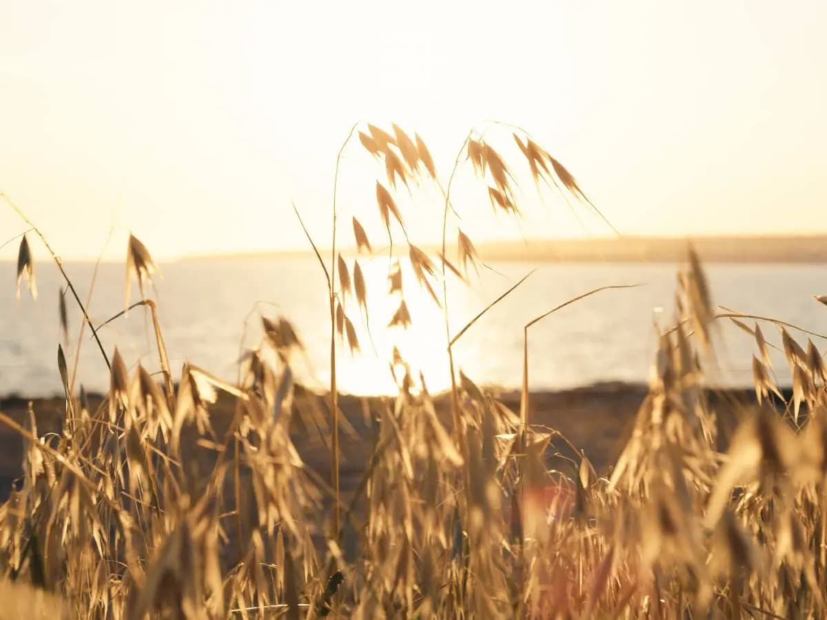 “Eppure Soffia” il testo di Pierangelo Bertoli per la natura