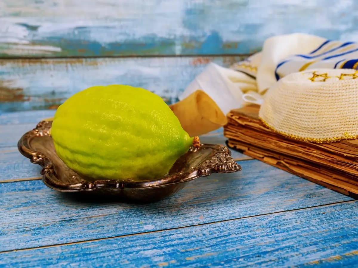 Etrog, il cedro più cercato al mondo