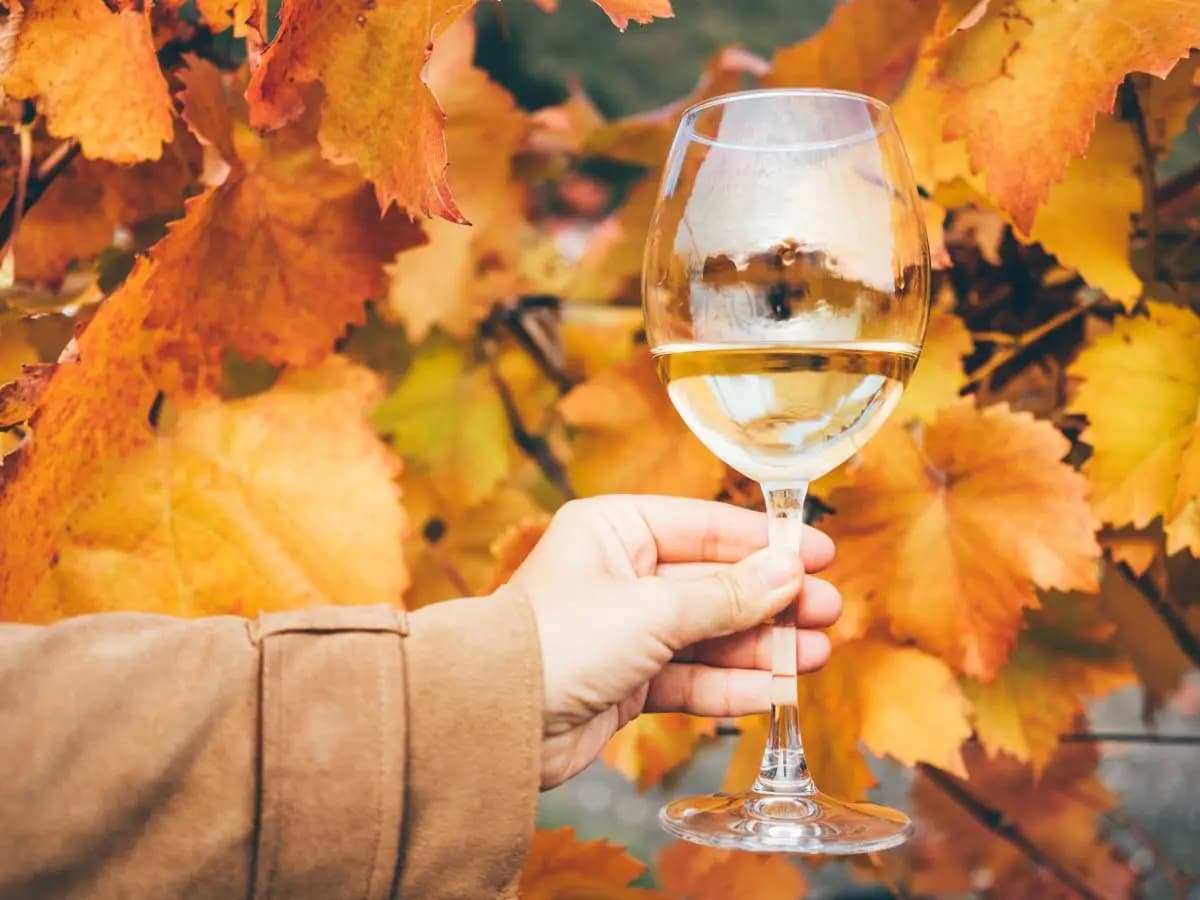 “San Martino”: la famosissima poesia di Giosuè Carducci