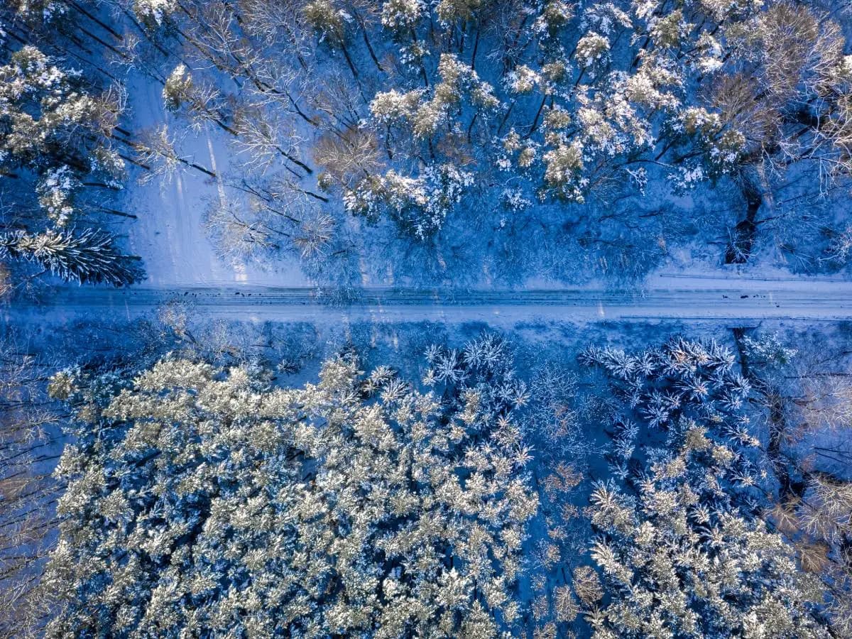 “È pieno inverno”, la bellissima poesia di Oscar Wilde