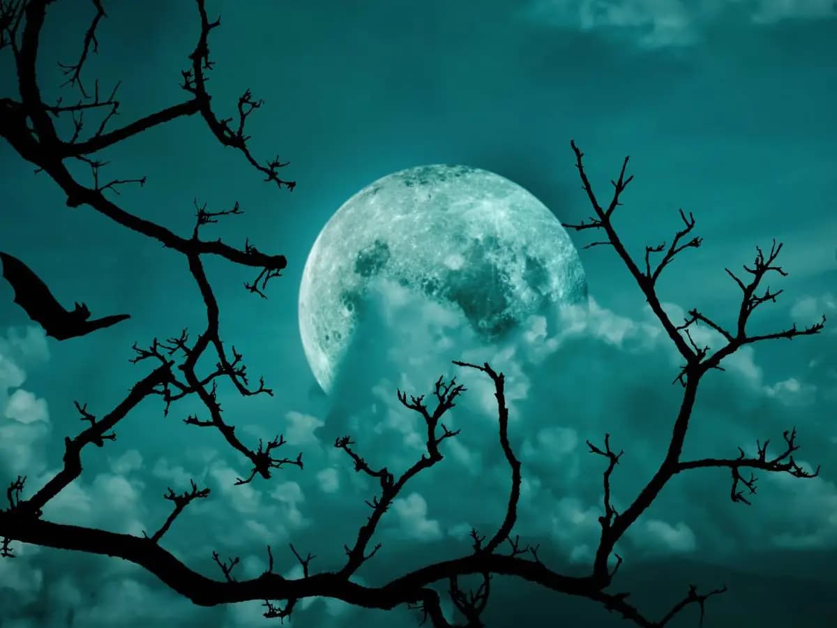Gli aforismi più belli sulla luna