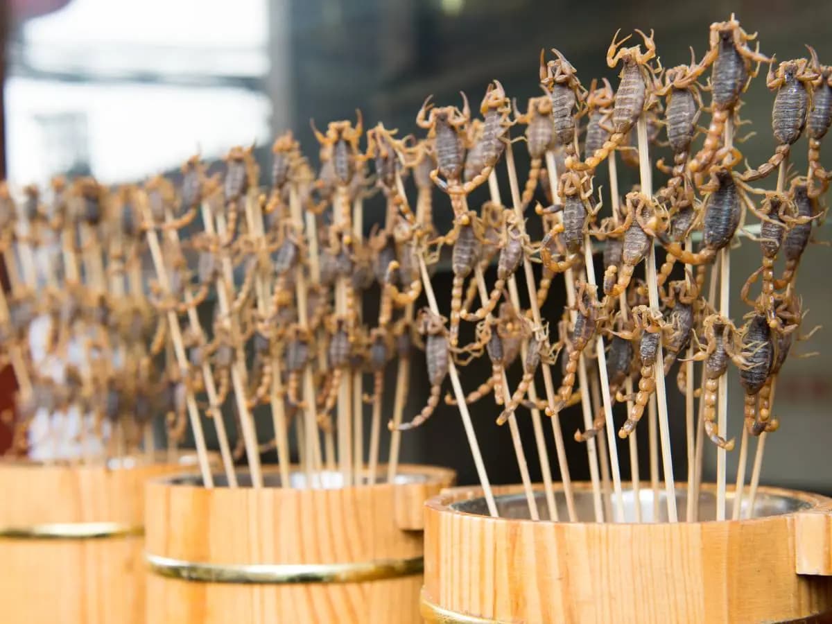 Insetti cibo del futuro, i nuovi sviluppi