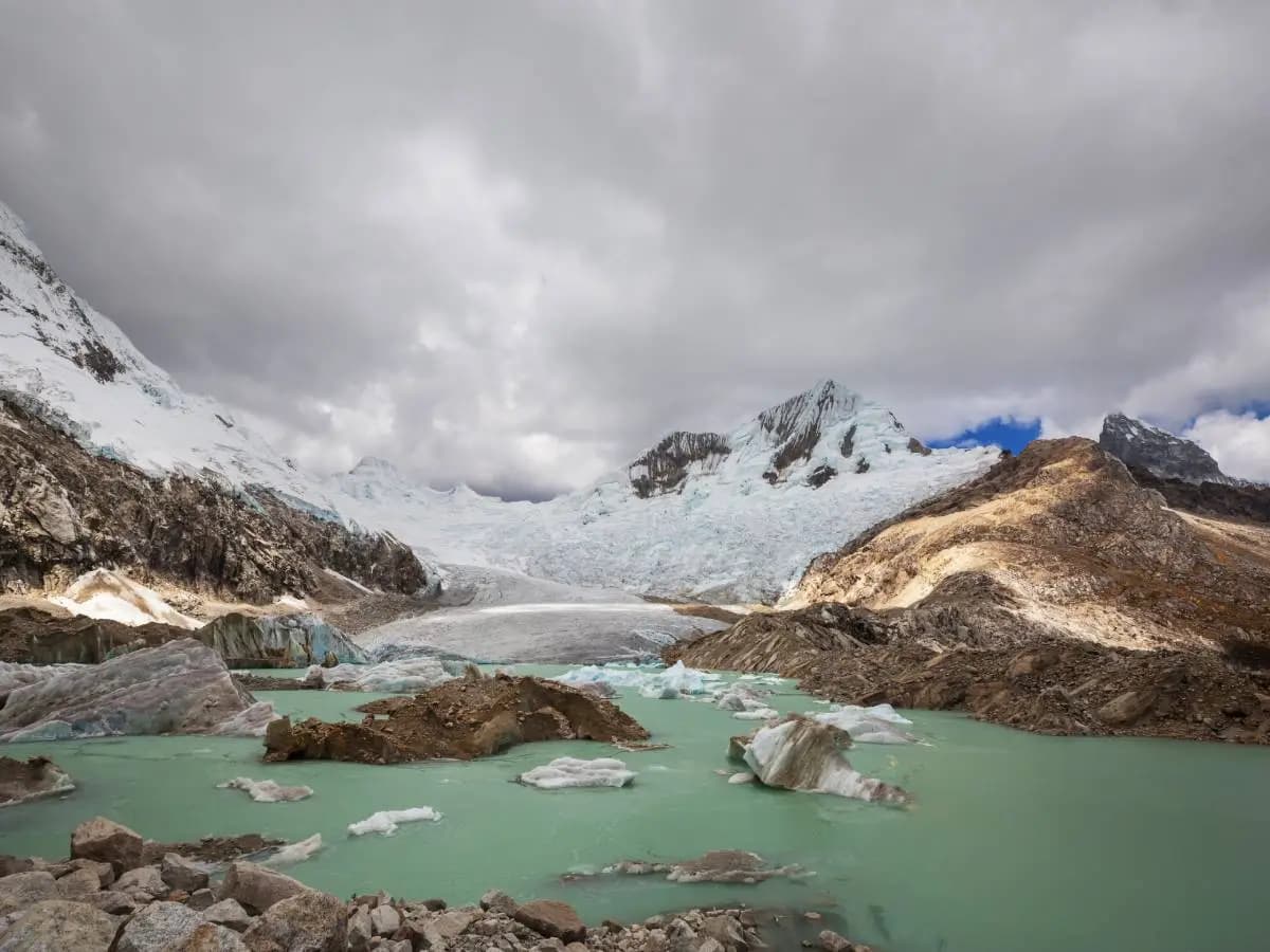 Antartide, il cambiamento climatico rende il paesaggio sempre più verde