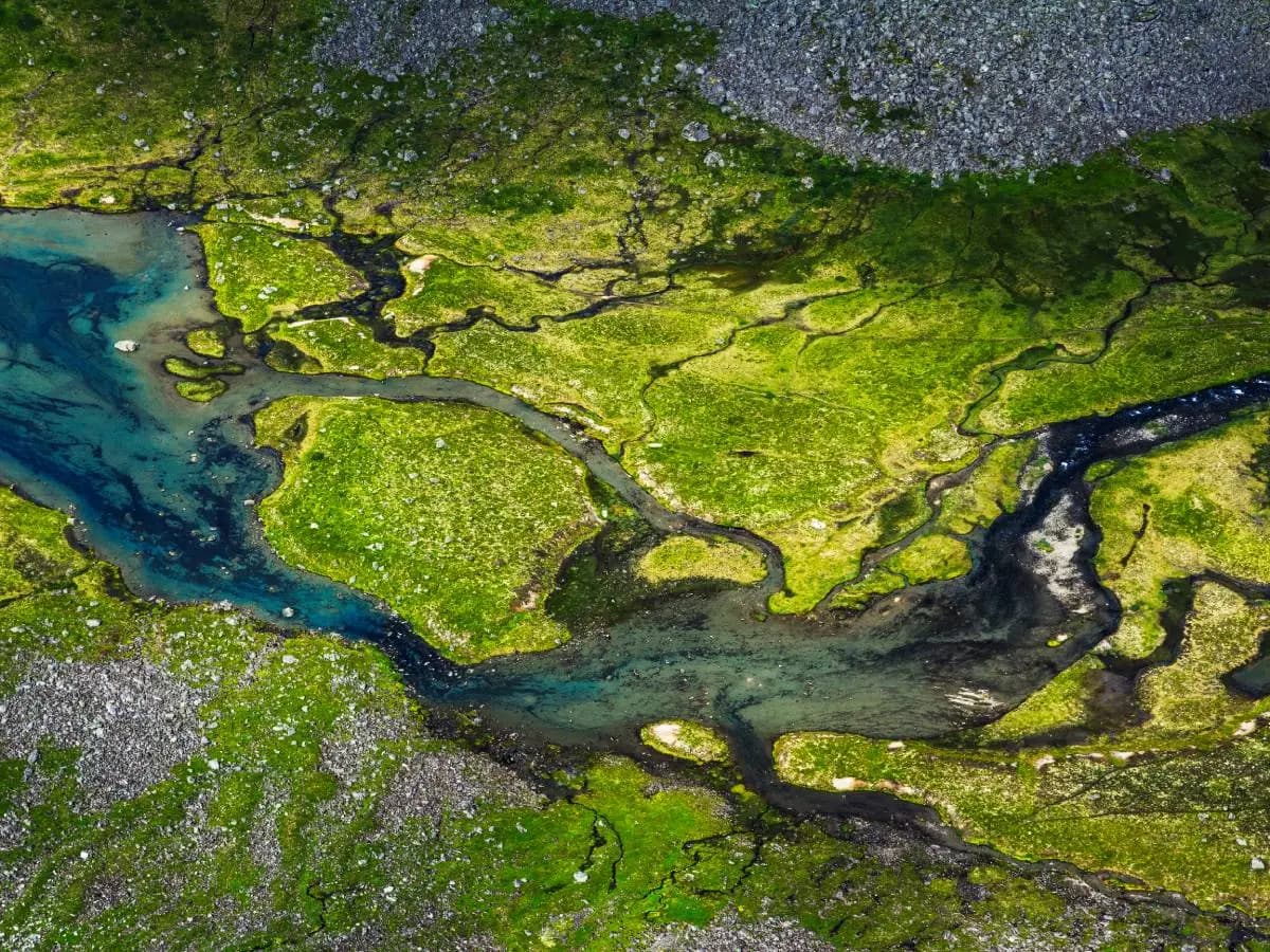 Cambiamento climatico e fauna, come si trasformano gli habitat naturali