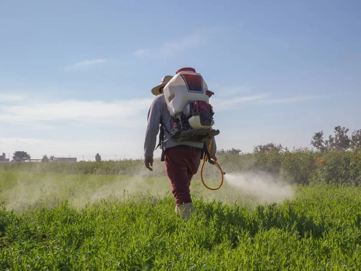 Pesticidi e cancro, cosa sappiamo davvero sul rischio