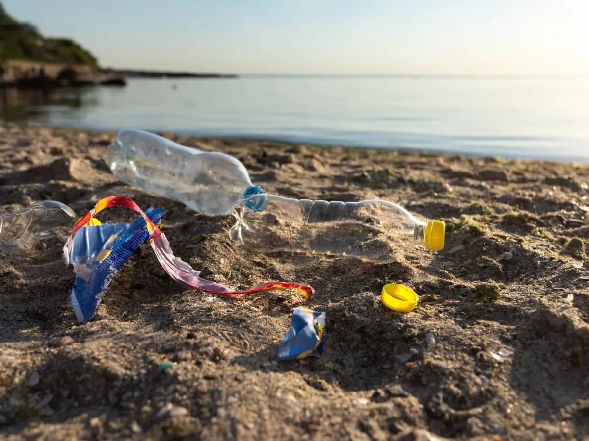 Rifiuti di plastica in mare, le cause più comuni che non ti aspetti