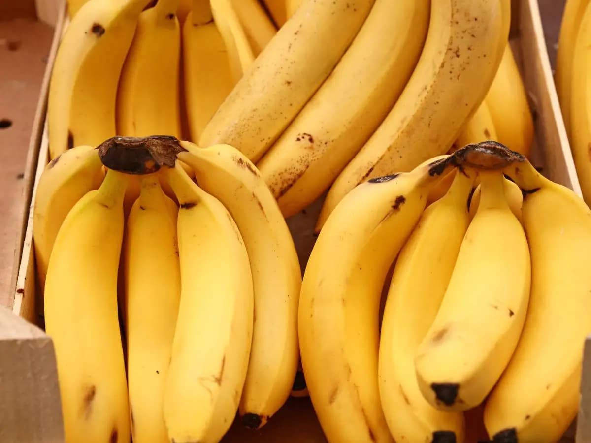 Qual è la differenza tra platano e banana