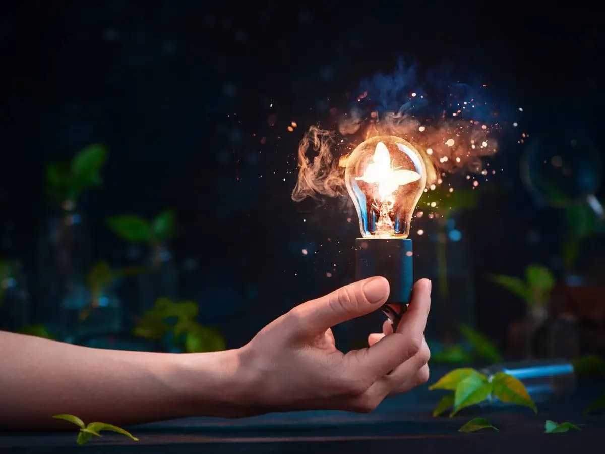 Perché la luce attira gli insetti?