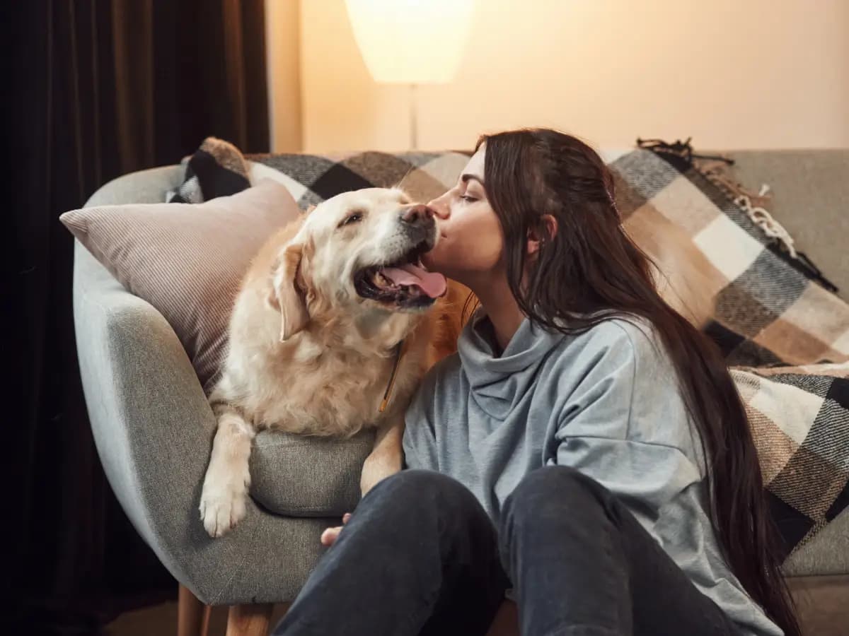 personalita cane padrone