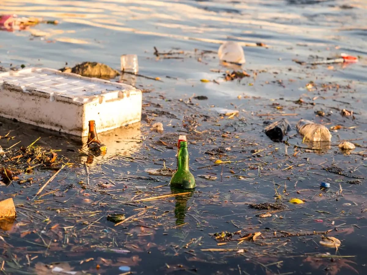 Reati ambientali in mare, in Italia il cemento illegale la fa da padrone