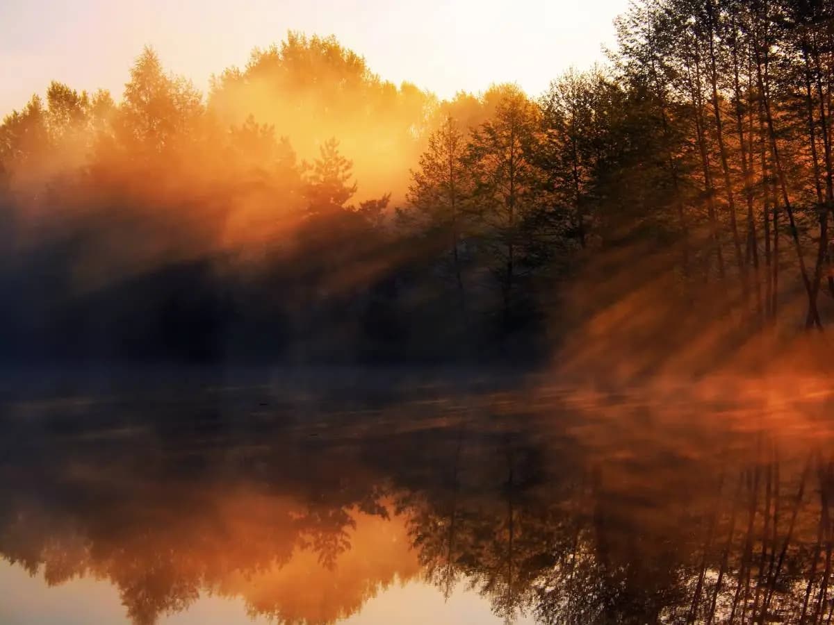 Fiumi: meno ossigeno nelle acque a causa del riscaldamento globale