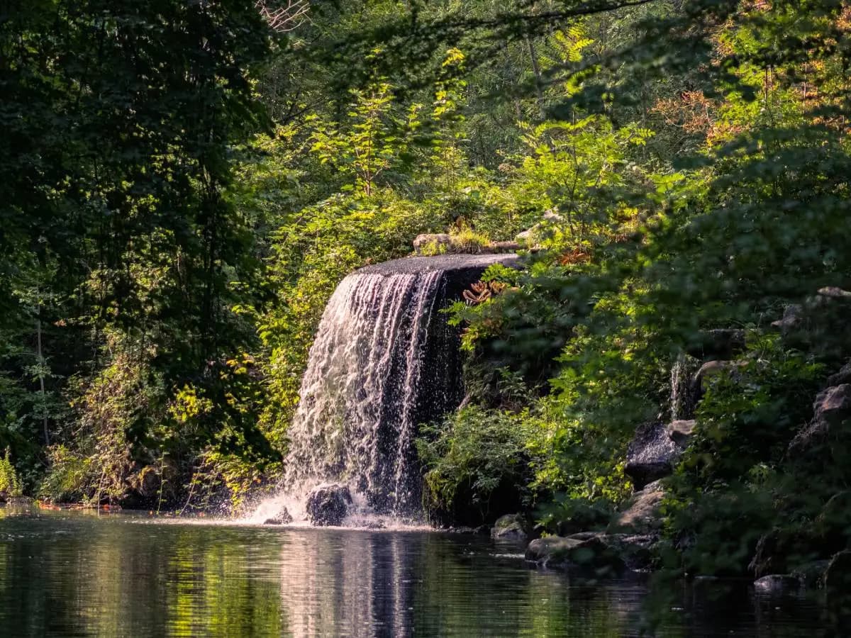 Parchi urbani più grandi d’Europa: ecco quali sono