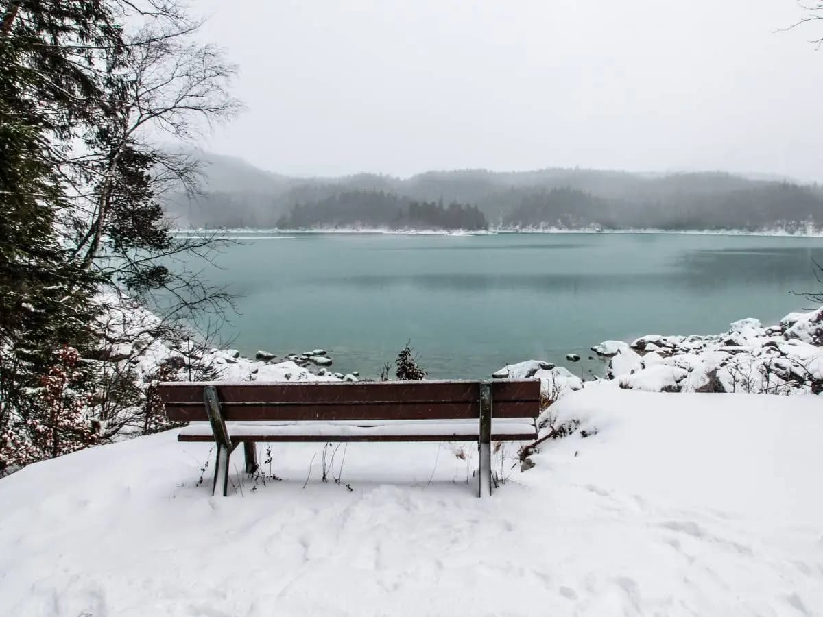 “Nevicata”, la bellissima poesia di Giosuè Carducci