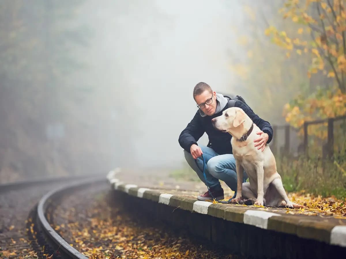Cane e uomo sono esposti alle stesse sostanze chimiche