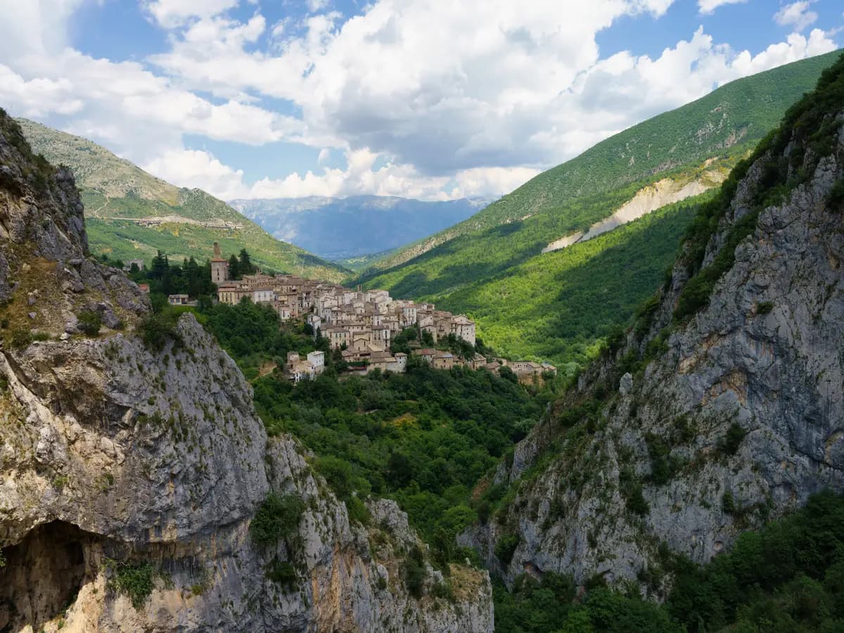 Orso marsicano, il più raro in Italia