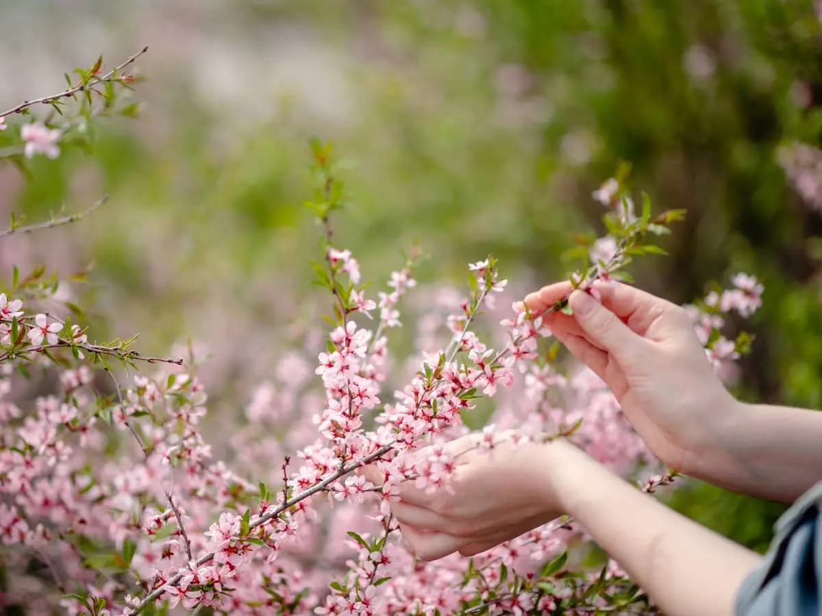 Le citazioni più belle sulla primavera