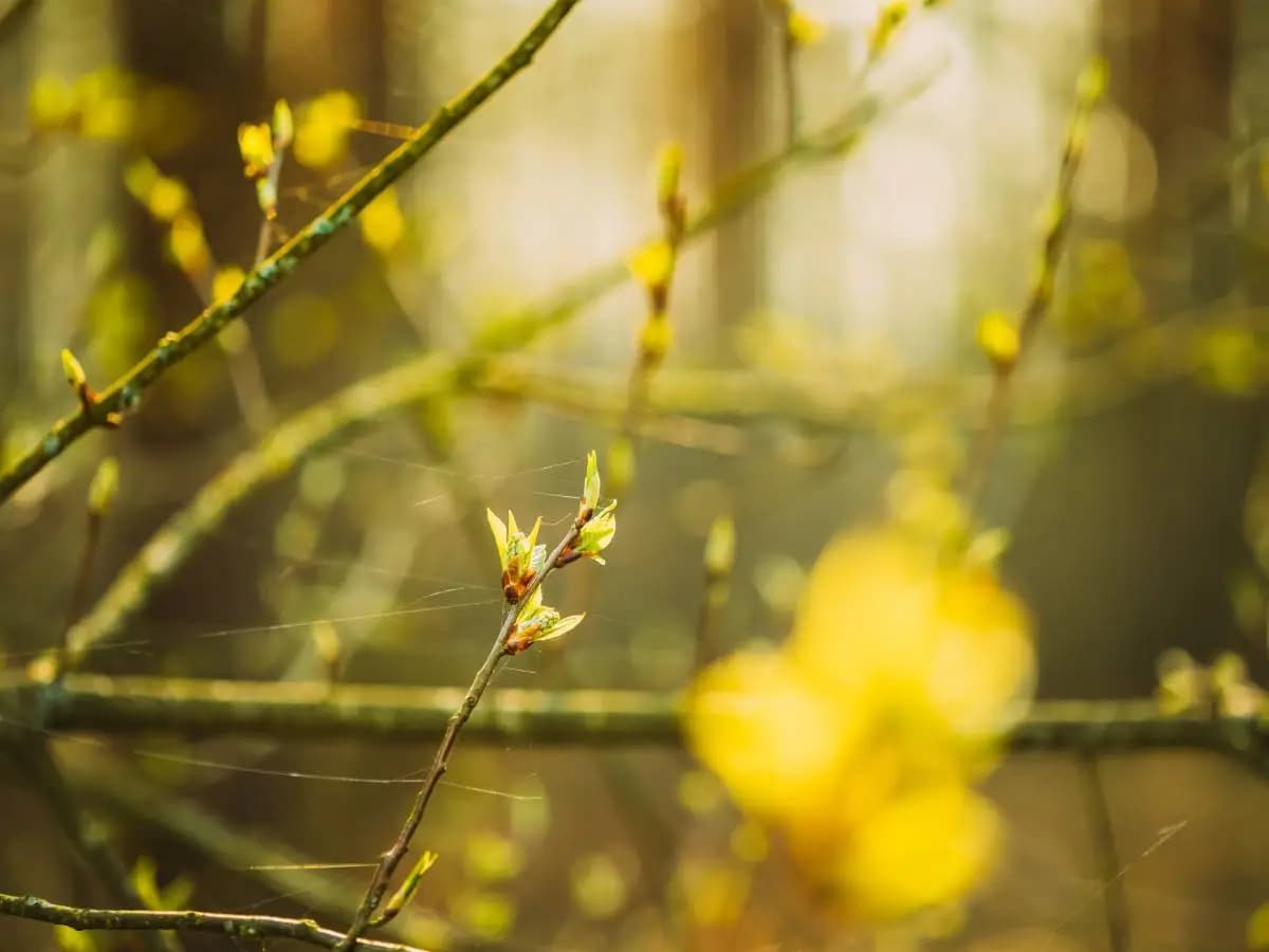 Equinozio di primavera, leggende e miti legati alla data