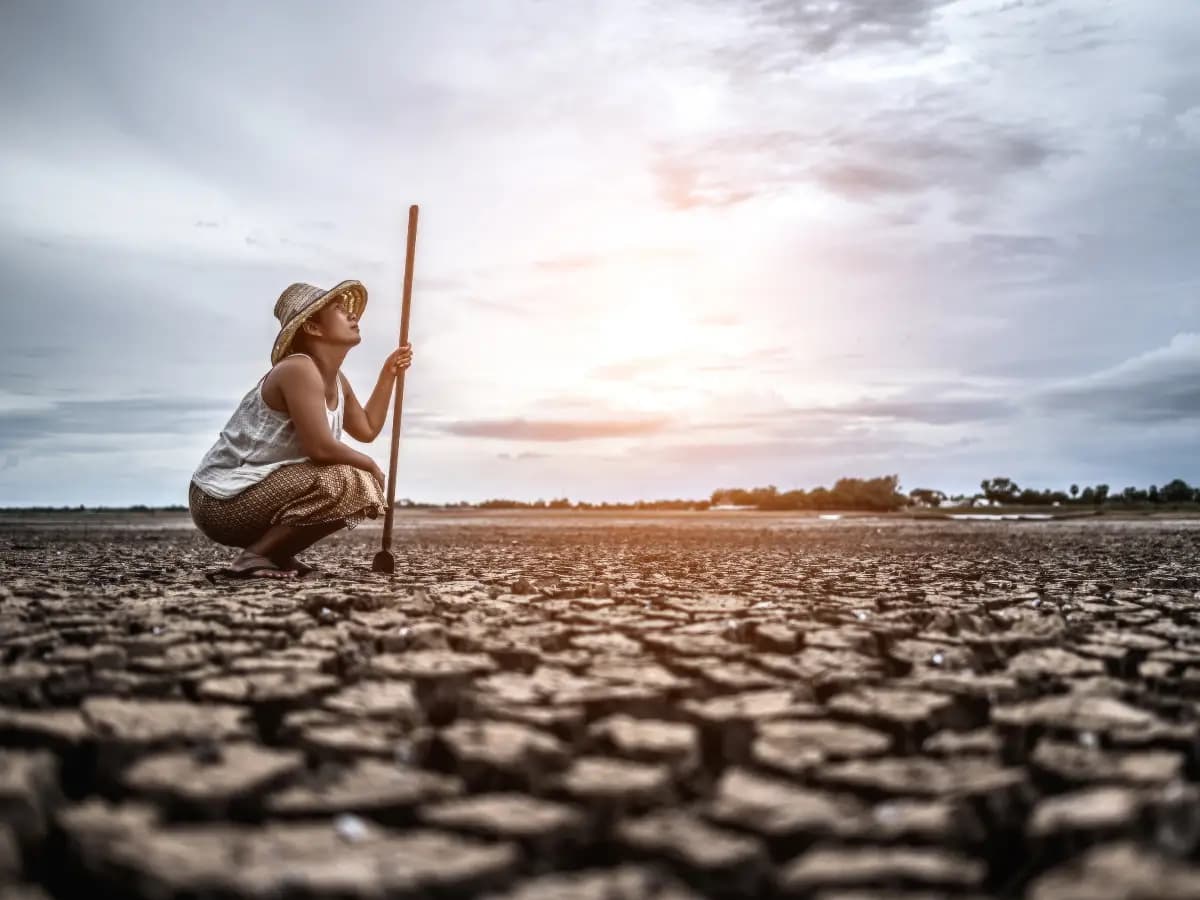 Riscaldamento globale, la Terra andrà oltre i 2,5 gradi dicono gli scienziati