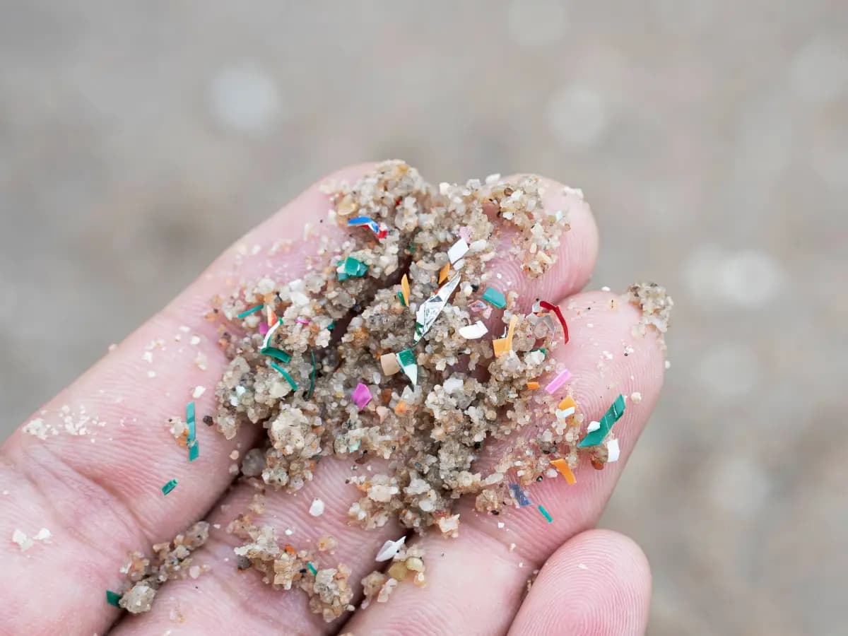 Microplastiche negli oceani ecco come sono distribuite