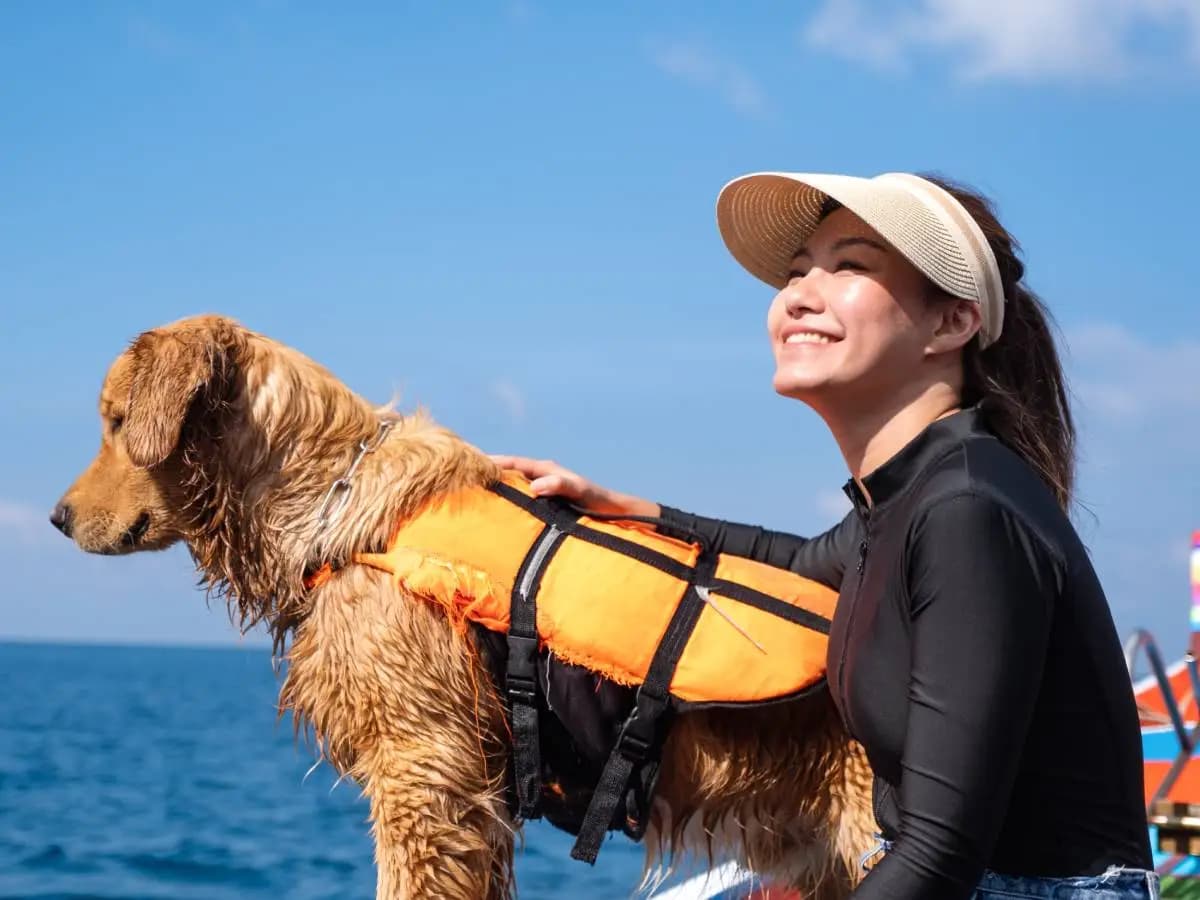 Cosa sono i cani da salvataggio in acqua