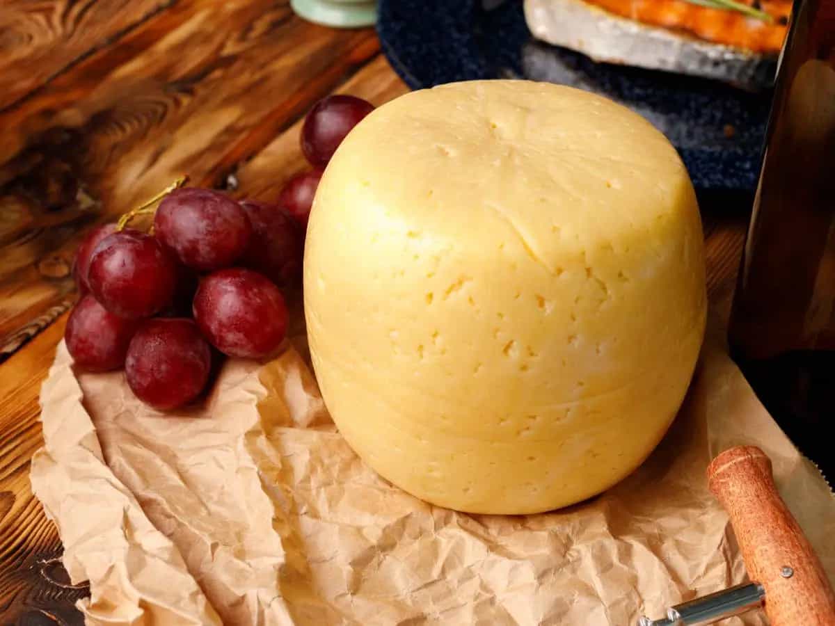 Cosa sono i formaggi stagionati