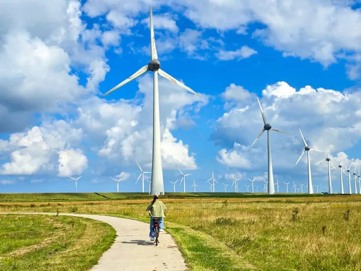 Siccità di vento, la nuova minaccia del cambiamento climatico alle rinnovabili